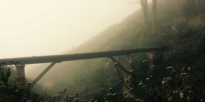抖音成功案例