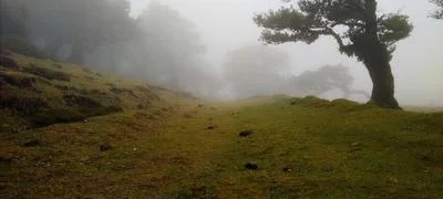 案例图片